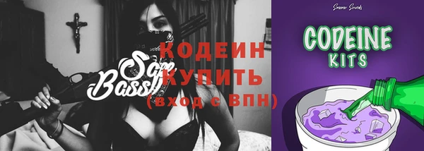 прущие грибы Каменка