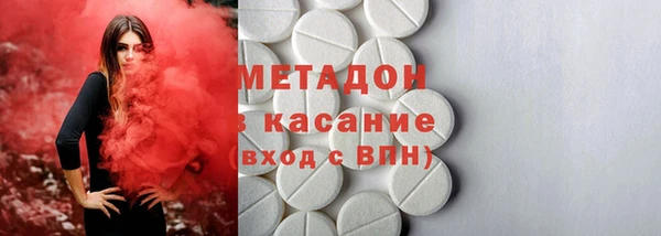 прущие грибы Каменка