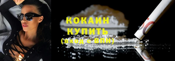 прущие грибы Каменка