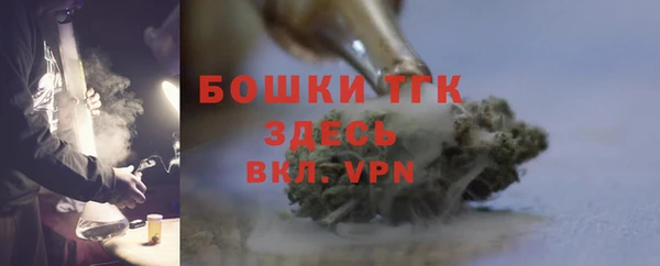 прущие грибы Каменка