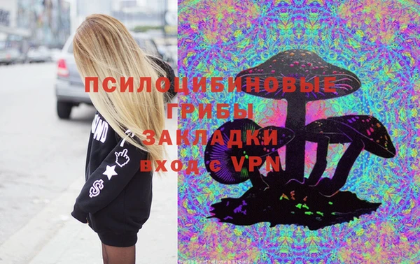 прущие грибы Каменка