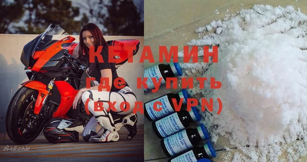 прущие грибы Каменка