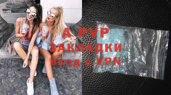 прущие грибы Каменка