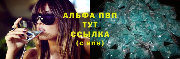прущие грибы Каменка