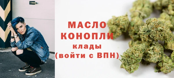 прущие грибы Каменка